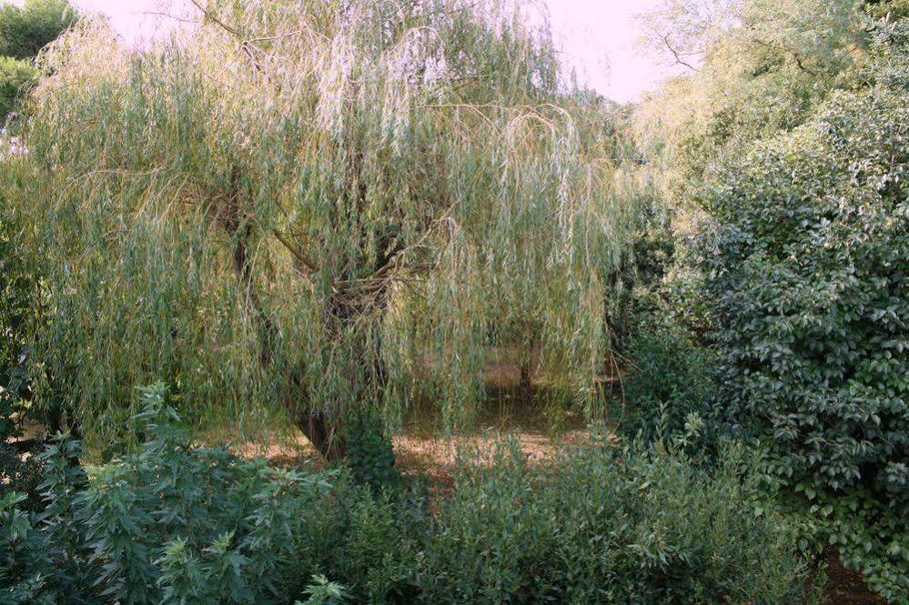 Appartement Aloa Carcassonne Bagian luar foto